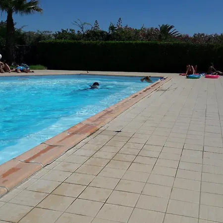 St Cyprien Bel Vue Sur La Apartment *